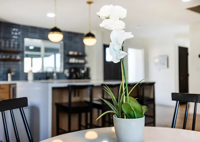 Lux Vibes In Oldtown @ Camelback Oasis *